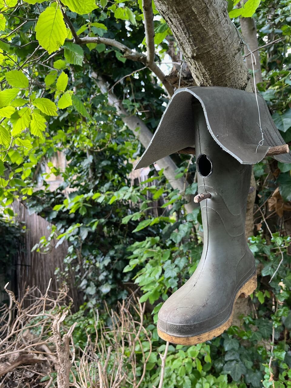 A bird box made from an old boot hanging in a leafy tree