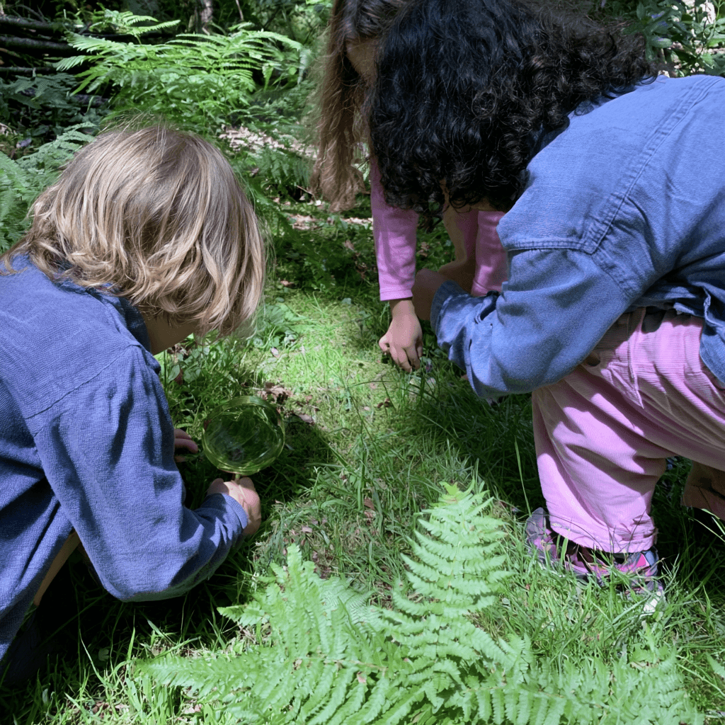 Children looking closely at plants and grass outdoors, one holding a magnifying glass
