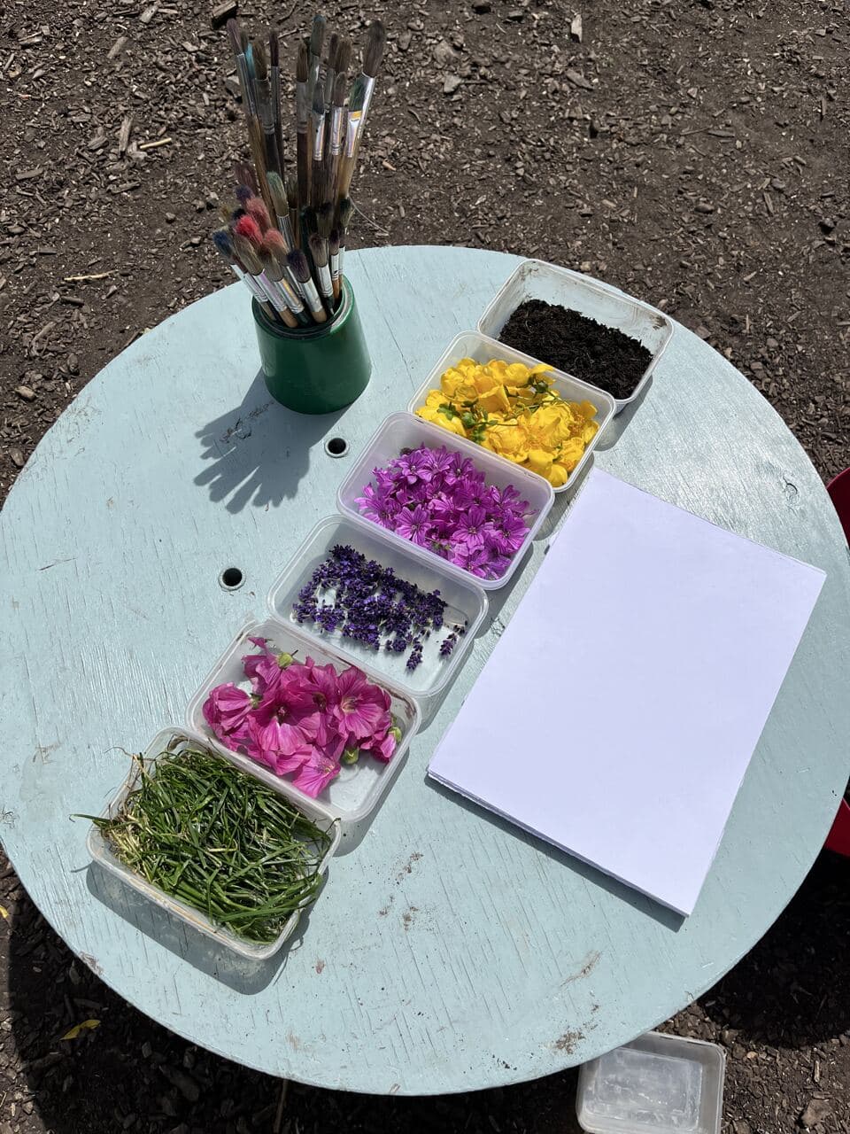 Flowers, grass, soil, brushes and blank paper arranged on an outdoor table