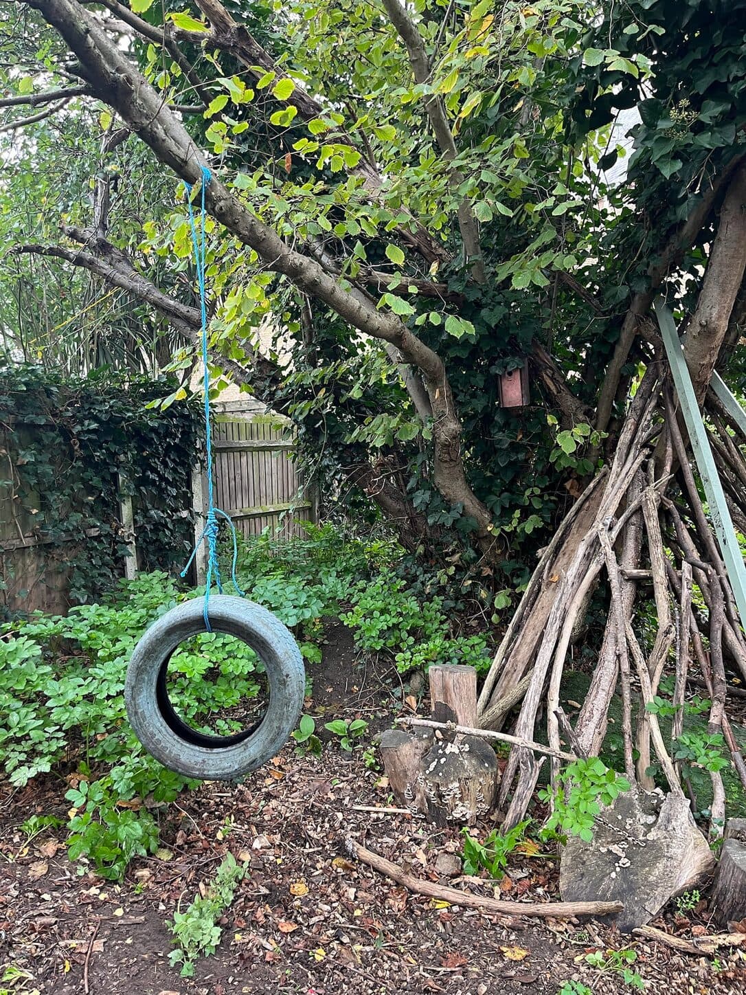 A tire swing hanging from a tree beside a den made from branches